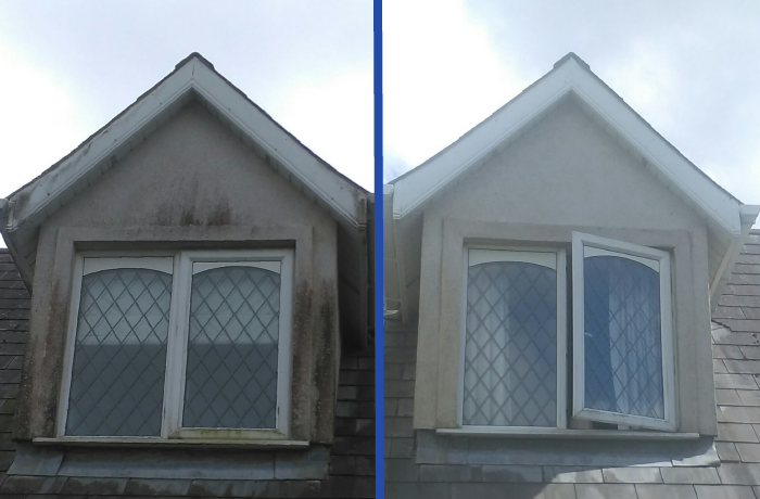 softwash comparison